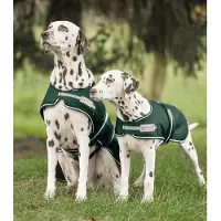 Waldhausen Couverture de pluie pour chiens