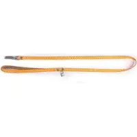 Martin sellier Laisse Nylon Pois Orange Largeur De 1 Cm Et Longueur De 100 Cm