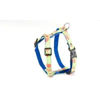 Martin sellier Harnais Pour Chien S 15 Mm Mixte Vert