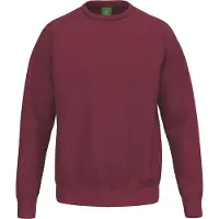 Erima Sweatshirt TS