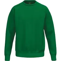 Erima Sweatshirt TS