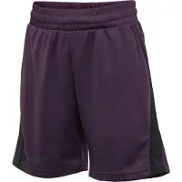 Hummel Pantalon de sport prune / noir