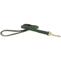 Kentucky Nylon Plaited Dog Leash 15 Mm Vert 15 mm x 120 cm