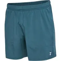 Hummel Pulse Workout Shorts Bleu S