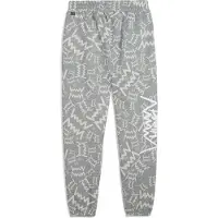 Puma Hommes, Bas de sport, teamJAWS Post Game Pants (S), Gris