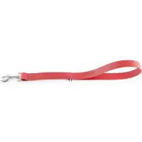 Martin sellier Laisse Chien Cuir Véritable Rouge - 2cm X 100 Cm - Assortie À Collier Moyen De Notre Boutique . La Réputation Du Fabricant Français .