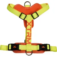 Nayeco Harnais pour chien X-trm Cronos Neon Flash, couleur jaune, largeur 20 mm, tour de poitrine 46-75 cm