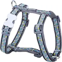 Red Dingo Sellette RD 20 mm x 45-66 cm - Moderne sur gris
