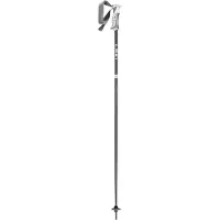 LEKI Bliss Poles Argenté 120 cm