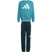 Adidas Ensembles de survêtement Essentials Joggers Set Kids garcons - Vert - 15 / 16 ans