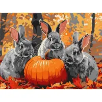 Ideyka Peinture par numéros - Les aventures du lapin 30 x 40 -