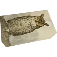 Sköna Ting Savon naturel 200 g, parfum de forêt, Sowa