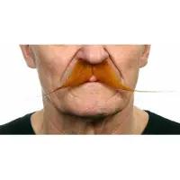 MOM Moustache
