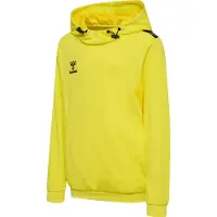Hummel Sweat de sport 'Authentic' jaune / noir