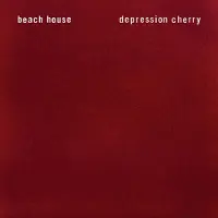 Bertus Distributie Depression cherry