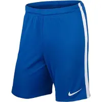 Nike Short League