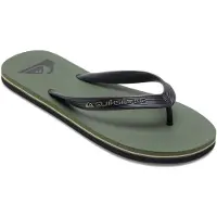 Quiksilver Sandales Molokai Core