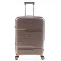 Gladiator Boxing Trolley Bag Marron