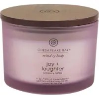 Chesapeake Bay Candle Bougie Joie et Rire 312,0 g