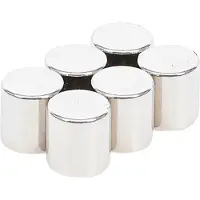 Bgs -79919 Jeu d'aimants extra forts Ø 9,5 mm 6 pcs.
