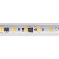 Sigor 14W/m Bande LED haute tension 4000K 50m 72LED/m IP65 230V 1330lm/m Ra90 (Blanc neutre, 5000 cm, Intérieur)
