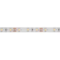 TOOL LAND Flexible Led - Blanc Froid - 300 Leds - 5 M - 12 V