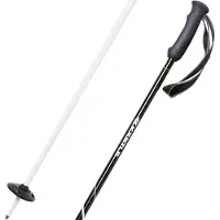 Kästle Allday Ti100 Poles Argenté 120 cm