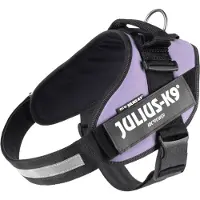 JULIUS K-9 Idc Power Dog Harness Violet XL-2