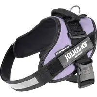 Julius-K9 IDC-Power-harnais avec champ de logo, taille 0 violet