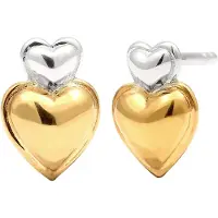 Elli Boucles d'oreilles or / argent
