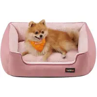 OEM Lit pour chien, coussin en cuir, panier pour chien, bords relevés, fond antidérapant, housse amovible et lavable, taille M, pour petits chiens, 70 x 55 x 21 cm, rose pastel