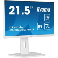 Iiyama 21.5' LED