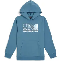 O'Neill Essentials Hoodie Bleu 16 Years Garçon