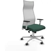 Piqueras Y Crespo Bürostuhl B1B086G grün