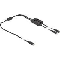 DeLOCK Câble USB-C vers 2x DC 5,5 x 2,1 mm avec interrupteur, 1 m, noir