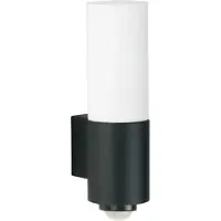 Albert Luminaires extérieurs avec détecteur de mouvement (E27, IP54)