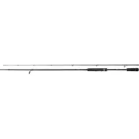 Shimano Fishing Stardic Fast Spinning Rod Argenté 2.44 m / 28-84 g