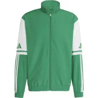 Adidas Squadra 25 Presentation Tracksuit Jacket Vert M / Regular Homme