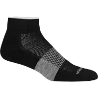 Icebreaker Chaussettes Icebreaker Men Multisport Light Mini Black Snow-S
