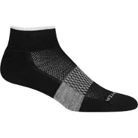 Icebreaker Chaussettes Icebreaker Women Multisport Light Mini Black Snow-L