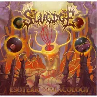 Universal Music Esoteric Malacology Vinyle violet Gatefold Edition Collector