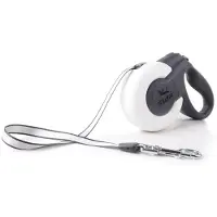 Fida Mars 5 M Dog Leash Argenté L
