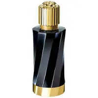 Versace Atelier Iris d'Élite EDP 100 ml UNISEX