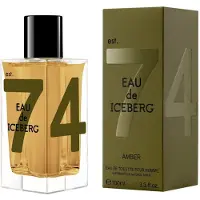 Iceberg Eau de Amber Pour Homme EDT 100ml (M)