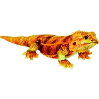 Spiegelburg Peluche dragon barbu (50 cm)