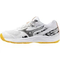 Mizuno Chaussures de sport d'intérieur Stealth Star 3 Junior Grises EU 40 1/2 Grises EU 40 1/2
