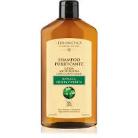 Erboristica L'erbastica shampooing bouleau & menthe poivrée 300 ml