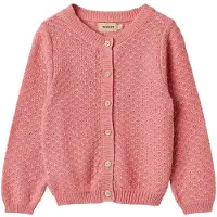Wheat Cardigan 'Magnella' rose