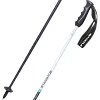 Kästle Piste Ca100 Poles Argenté 115 cm
