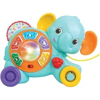 WINFUN Jouet à tirer éléphant avec sons et lumières, 6 mois+,